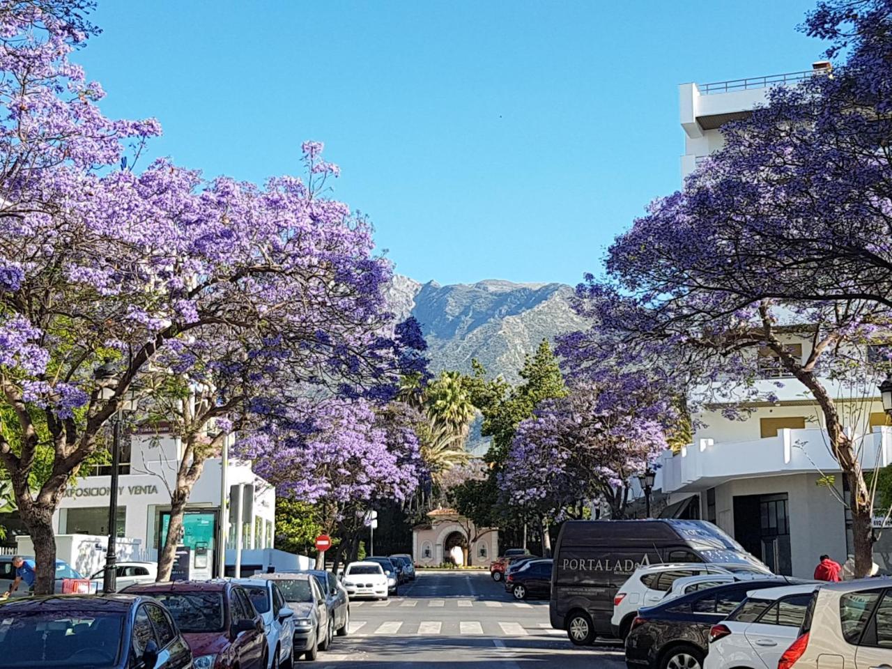 Superior 3 Bedroom Center Close To * Marbella